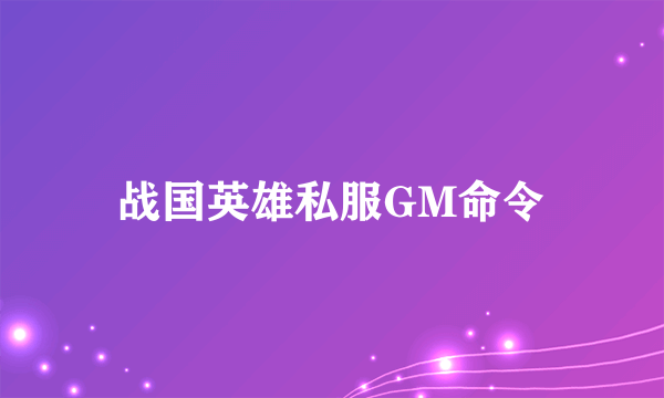 战国英雄私服GM命令