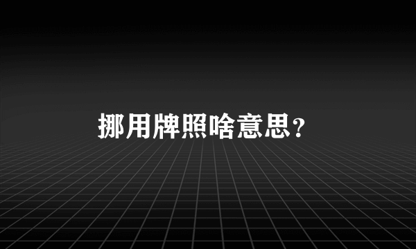 挪用牌照啥意思？