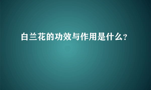 白兰花的功效与作用是什么？