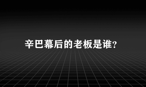 辛巴幕后的老板是谁？