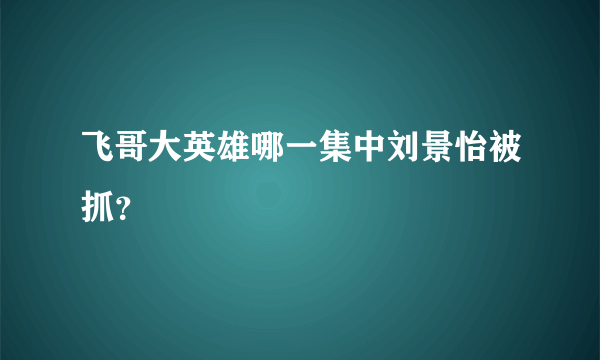 飞哥大英雄哪一集中刘景怡被抓？