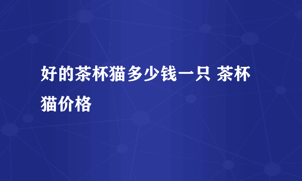 好的茶杯猫多少钱一只 茶杯猫价格