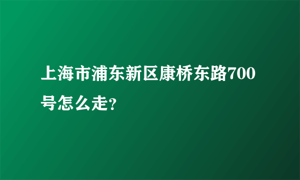 上海市浦东新区康桥东路700号怎么走？