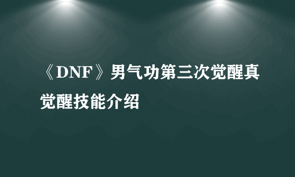 《DNF》男气功第三次觉醒真觉醒技能介绍