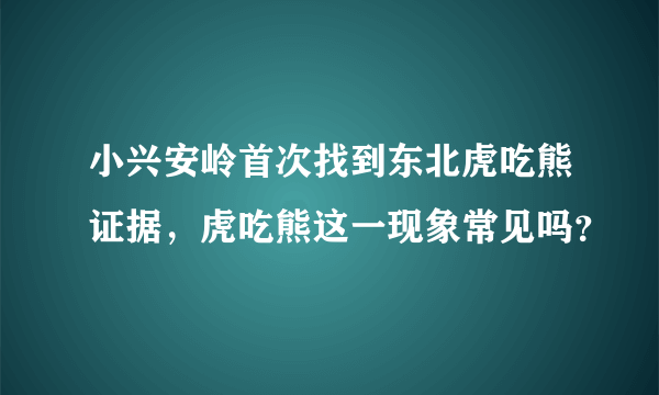 小兴安岭首次找到东北虎吃熊证据，虎吃熊这一现象常见吗？