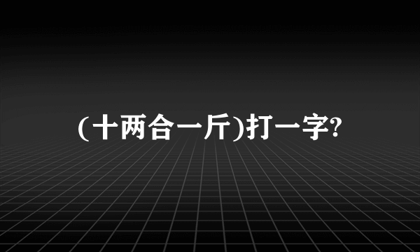 (十两合一斤)打一字?