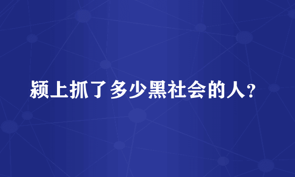 颍上抓了多少黑社会的人？