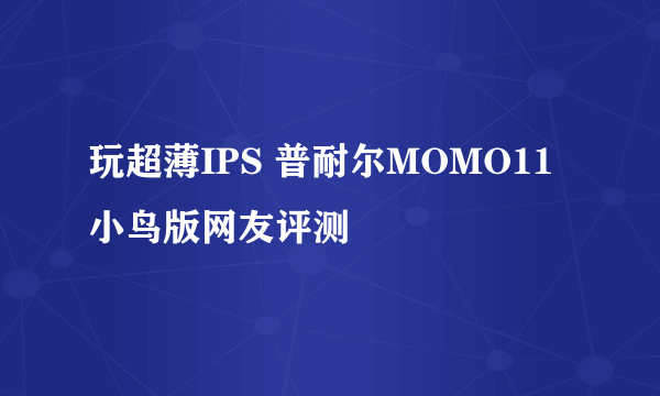 玩超薄IPS 普耐尔MOMO11小鸟版网友评测