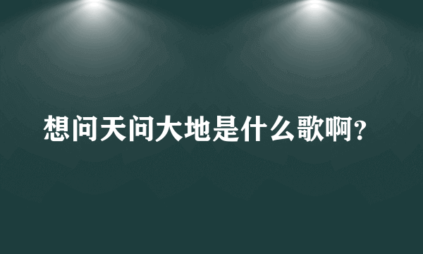 想问天问大地是什么歌啊？