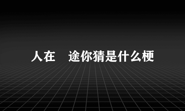 人在囧途你猜是什么梗