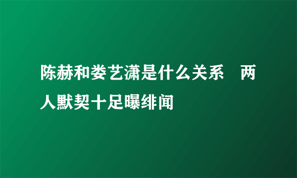 陈赫和娄艺潇是什么关系   两人默契十足曝绯闻