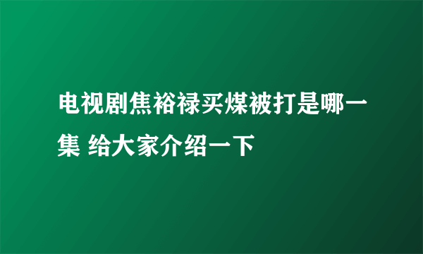 电视剧焦裕禄买煤被打是哪一集 给大家介绍一下