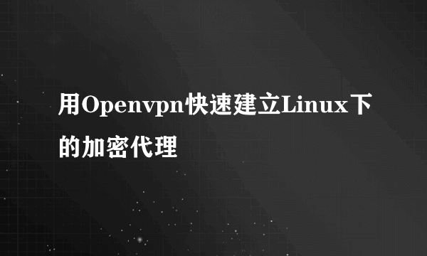 用Openvpn快速建立Linux下的加密代理