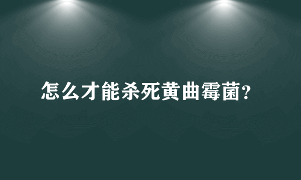 怎么才能杀死黄曲霉菌？