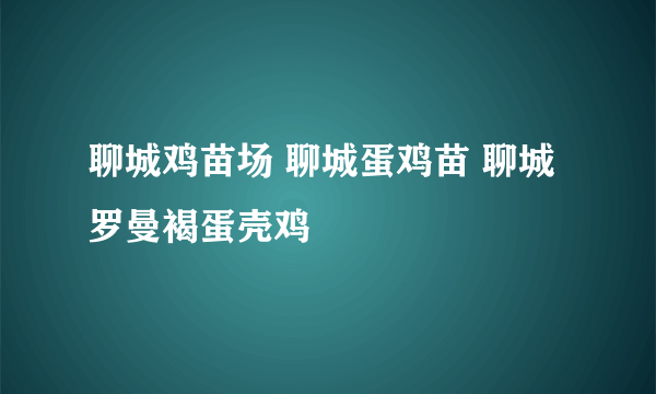 聊城鸡苗场 聊城蛋鸡苗 聊城罗曼褐蛋壳鸡