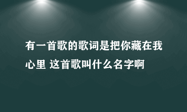 有一首歌的歌词是把你藏在我心里 这首歌叫什么名字啊