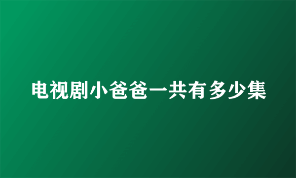 电视剧小爸爸一共有多少集