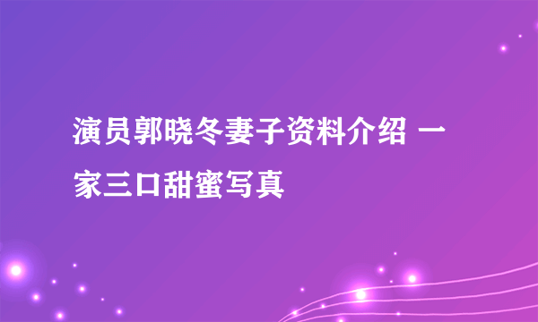 演员郭晓冬妻子资料介绍 一家三口甜蜜写真