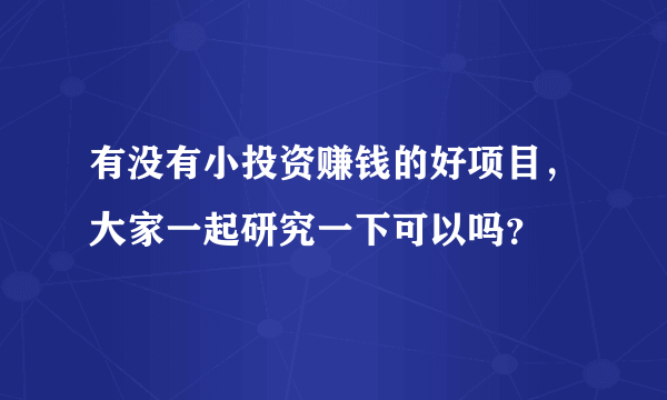 有没有小投资赚钱的好项目，大家一起研究一下可以吗？