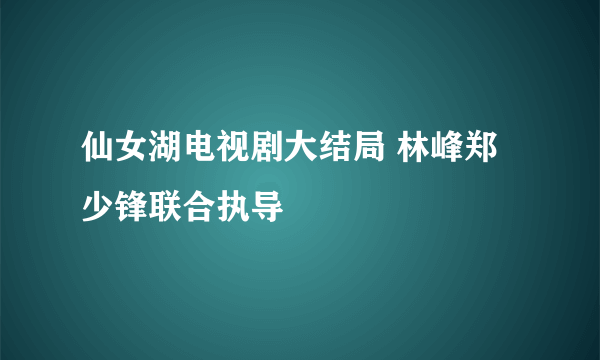 仙女湖电视剧大结局 林峰郑少锋联合执导