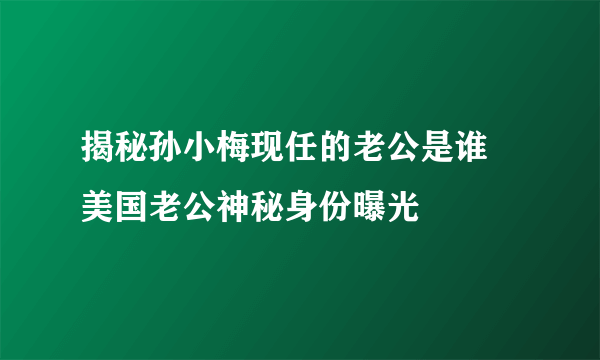 揭秘孙小梅现任的老公是谁 美国老公神秘身份曝光