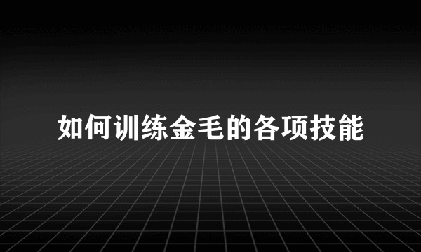 如何训练金毛的各项技能