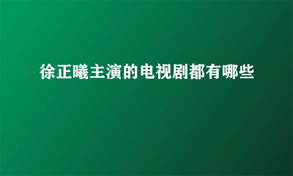 徐正曦主演的电视剧都有哪些