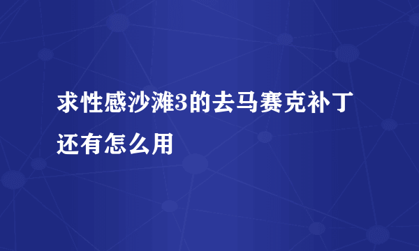 求性感沙滩3的去马赛克补丁 还有怎么用