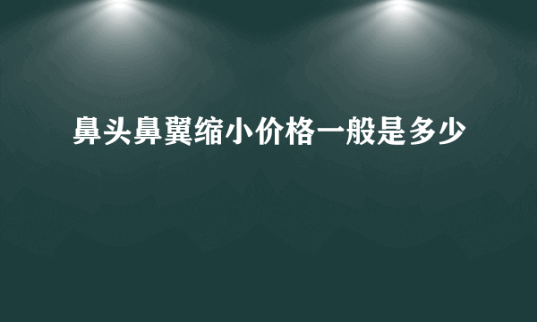 鼻头鼻翼缩小价格一般是多少