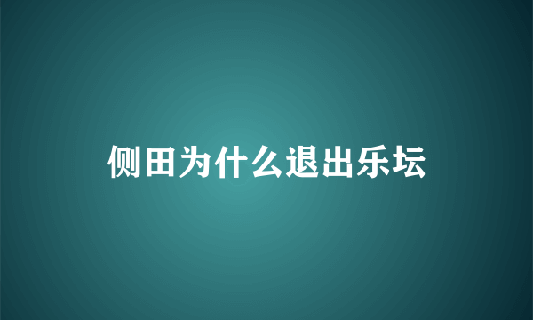 侧田为什么退出乐坛