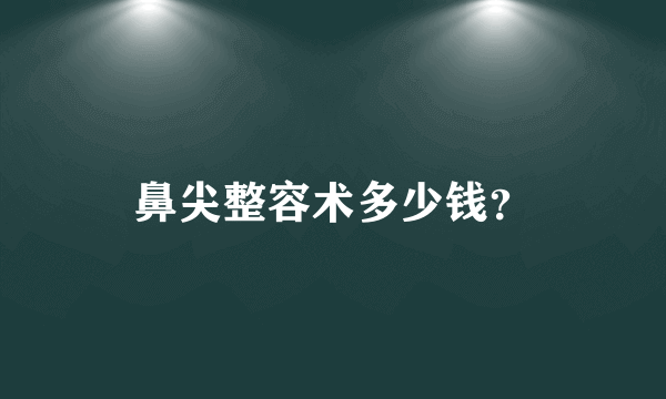 鼻尖整容术多少钱？