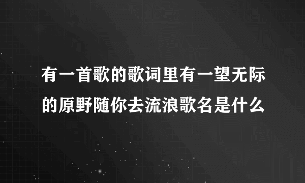 有一首歌的歌词里有一望无际的原野随你去流浪歌名是什么