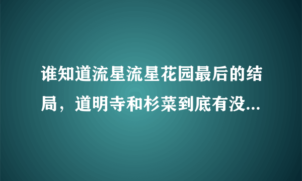 谁知道流星流星花园最后的结局，道明寺和杉菜到底有没有在一起