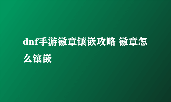 dnf手游徽章镶嵌攻略 徽章怎么镶嵌