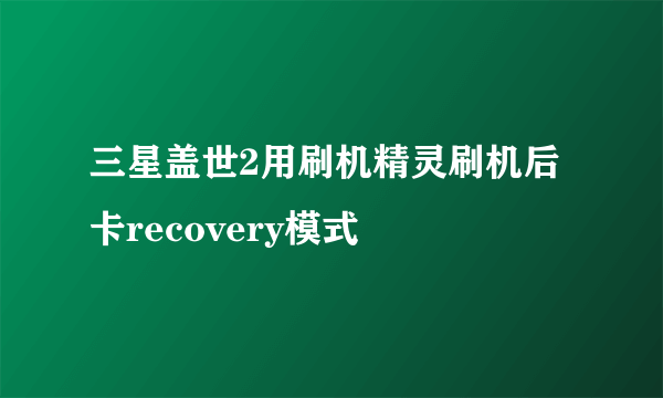 三星盖世2用刷机精灵刷机后卡recovery模式