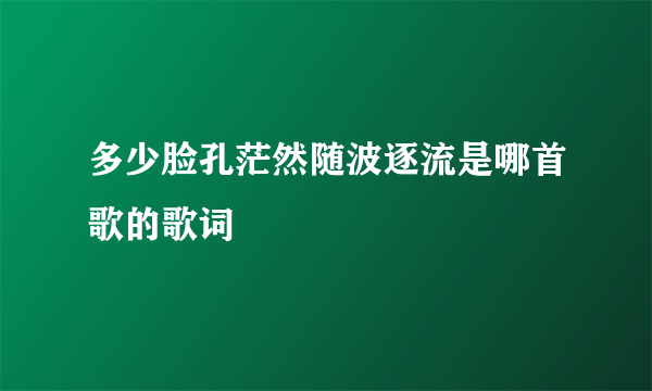 多少脸孔茫然随波逐流是哪首歌的歌词