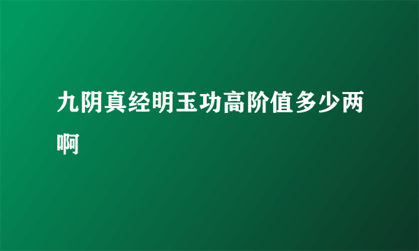 九阴真经明玉功高阶值多少两啊