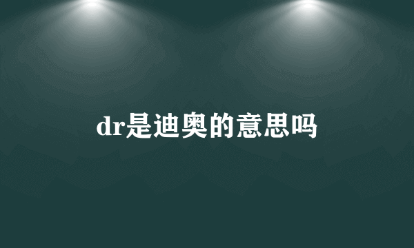 dr是迪奥的意思吗