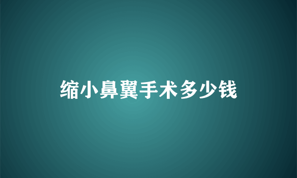 缩小鼻翼手术多少钱