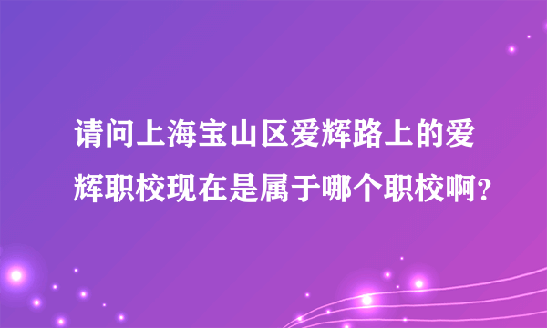 请问上海宝山区爱辉路上的爱辉职校现在是属于哪个职校啊？