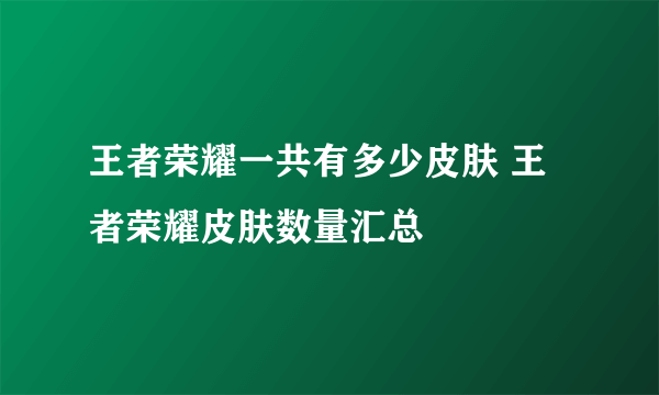 王者荣耀一共有多少皮肤 王者荣耀皮肤数量汇总