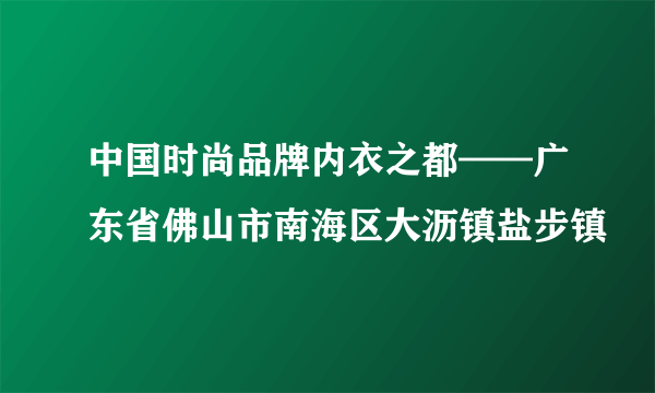 中国时尚品牌内衣之都——广东省佛山市南海区大沥镇盐步镇