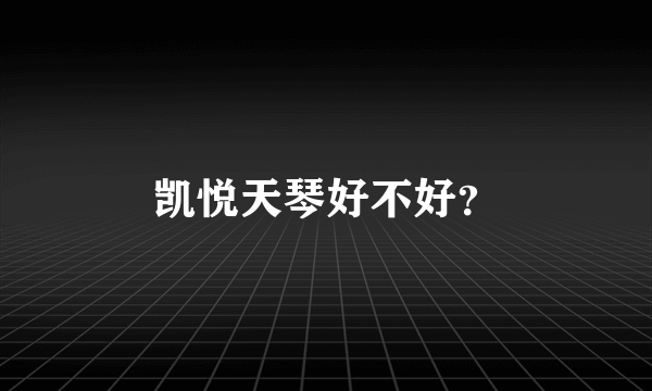 凯悦天琴好不好？