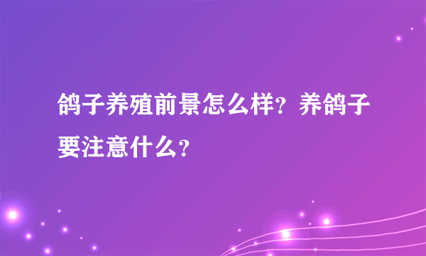 鸽子养殖前景怎么样？养鸽子要注意什么？