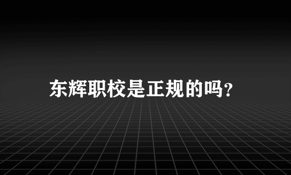 东辉职校是正规的吗？