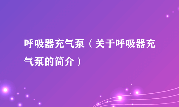 呼吸器充气泵（关于呼吸器充气泵的简介）