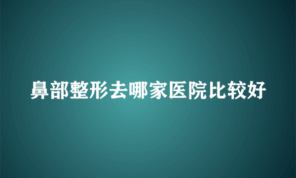 鼻部整形去哪家医院比较好