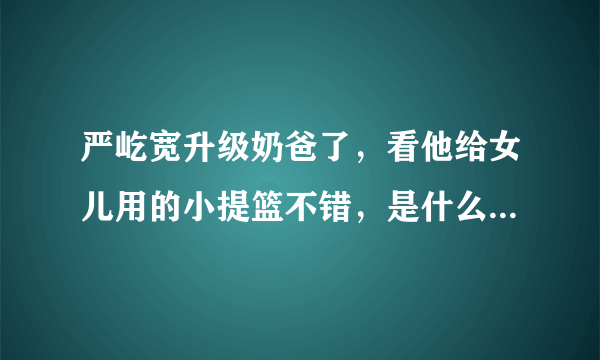 严屹宽升级奶爸了，看他给女儿用的小提篮不错，是什么牌子的？