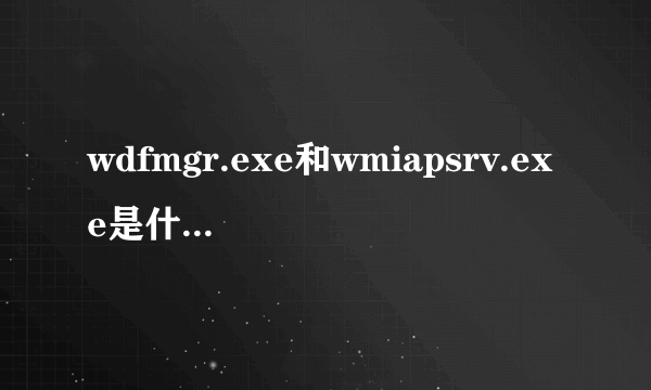 wdfmgr.exe和wmiapsrv.exe是什么进程?