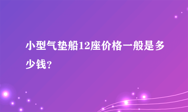 小型气垫船12座价格一般是多少钱？